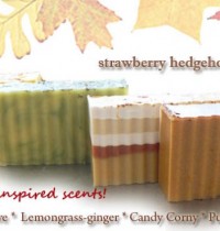 Giveaway: Autumn inspired Strawberry Hedgehog soaps