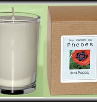 Soy Candles by Phebes review and giveaway!