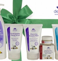 GIVEAWAY: Holiday Gift Basket From derma e