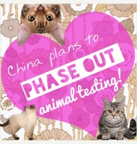 China Plans to Phase Out Cosmetics Animal Testing!