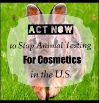 Act Now to Stop Animal Testing for Cosmetics in the U.S.