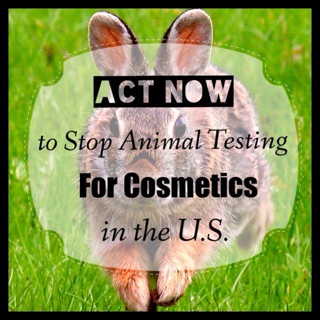 Act Now to Stop Animal Testing for Cosmetics in the . - Vegan Beauty  Review | Vegan and Cruelty-Free Beauty, Fashion, Food, and Lifestyle :  Vegan Beauty Review | Vegan and Cruelty-Free