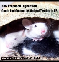 New Bill Aims to End Animal Testing for Cosmetics in the US