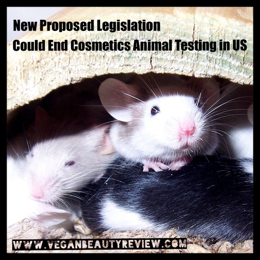 New Bill Aims to End Animal Testing for Cosmetics in the US - Vegan Beauty  Review | Vegan and Cruelty-Free Beauty, Fashion, Food, and Lifestyle : Vegan  Beauty Review | Vegan and