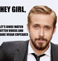 Ryan Gosling, Kittens, and Cupcakes!
