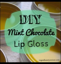 DIY Mint Chocolate Lip Gloss