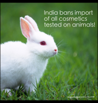 India Bans Import of All Cosmetics Tested on Animals