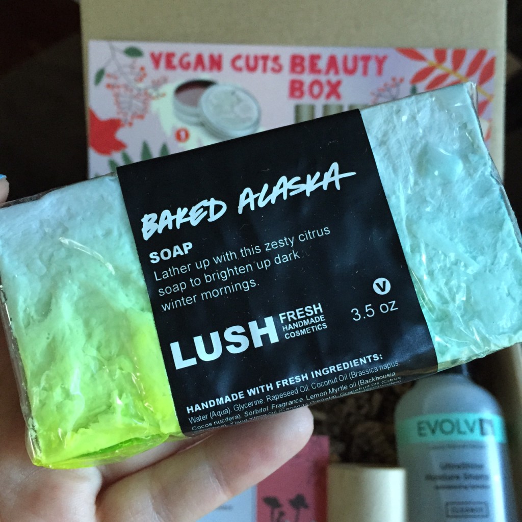 LUSH Baked Alask soap