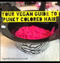 Your Vegan Guide to Punky Colored Hair