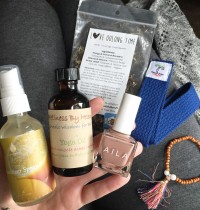 March 2015 BuddhiBox Review