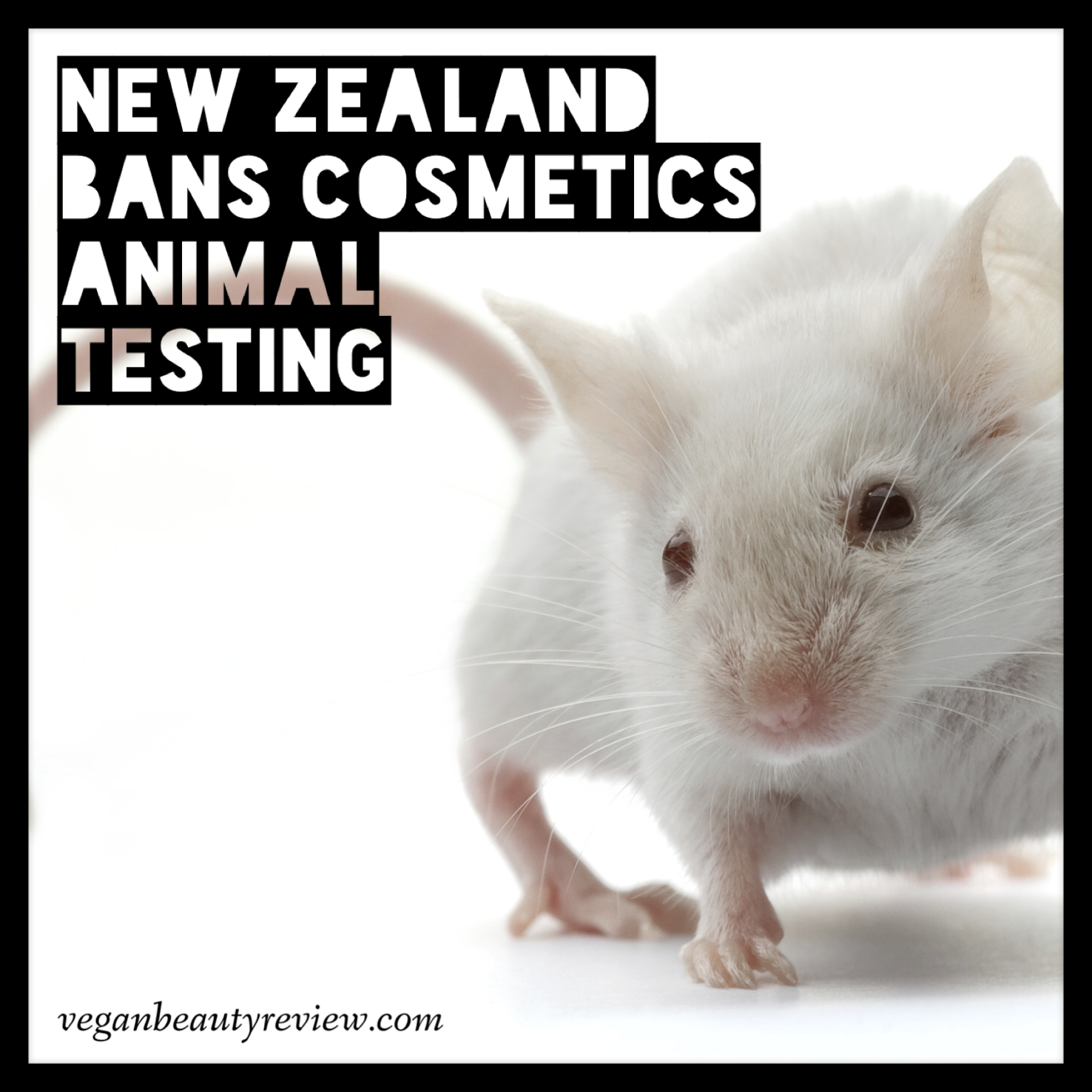 New Zealand Bans Cosmetics Animal Testing - Vegan Beauty Review | Vegan and  Cruelty-Free Beauty, Fashion, Food, and Lifestyle : Vegan Beauty Review |  Vegan and Cruelty-Free Beauty, Fashion, Food, and Lifestyle
