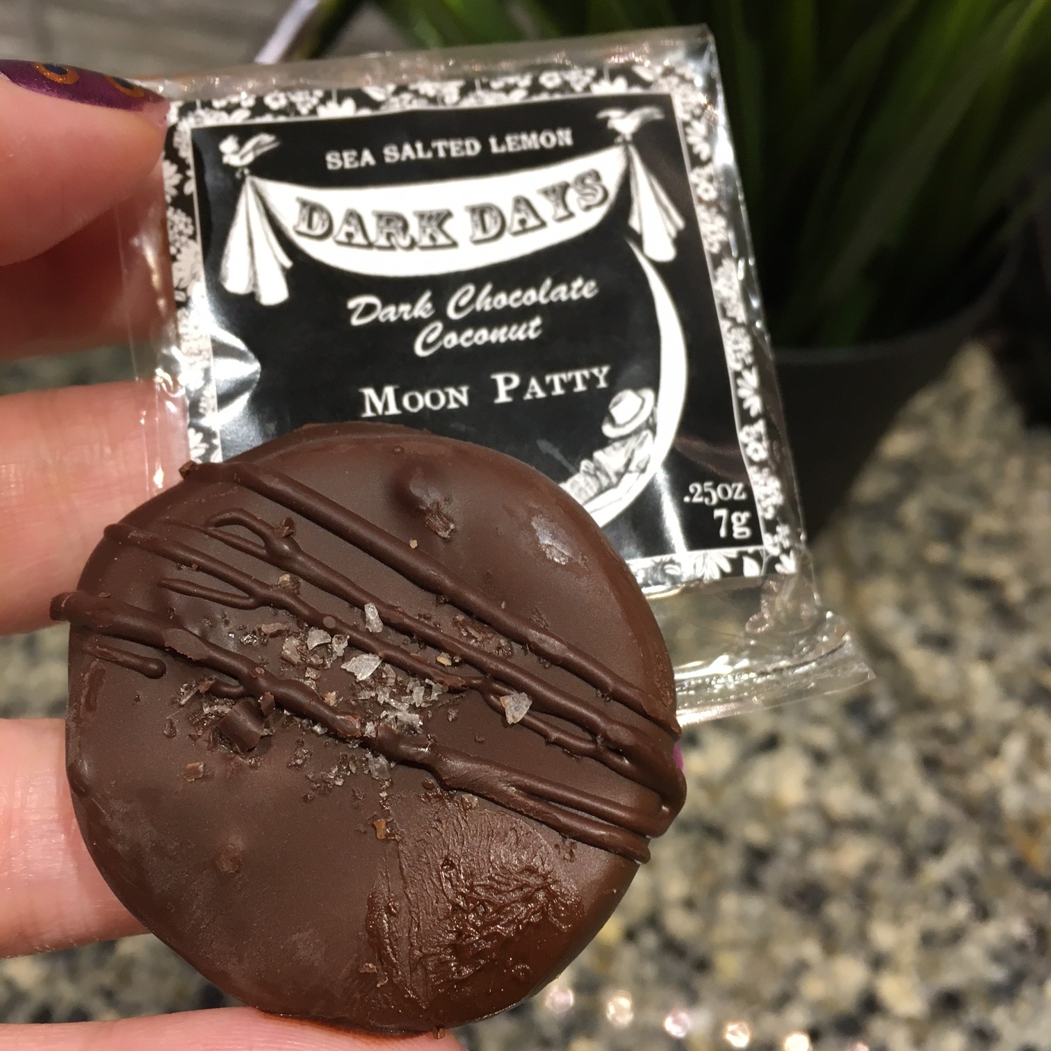 Dark Days Chocolate Moon Patty