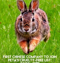 Eco&more Becomes First Chinese Company to Join PETA’s Cruelty-Free List