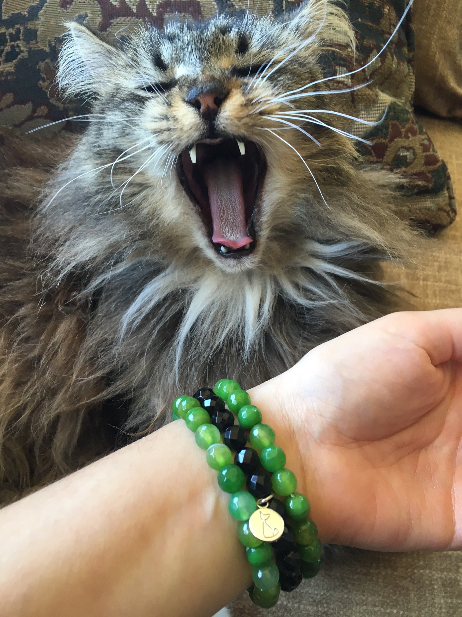 Adventure Kitty agate bracelets