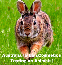 Australia to Ban Cosmetics Testing on Animals!