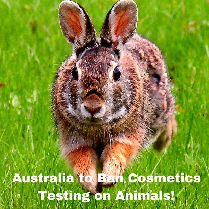 Australia to Ban Cosmetics Testing on Animals