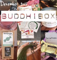 BuddhiBox December 2016 Review