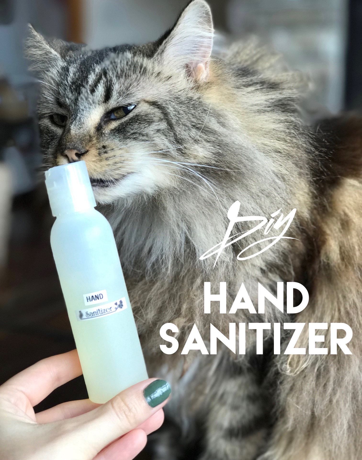diy hand sanitizer