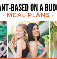 Plant-Based on A Budget Meal Plans