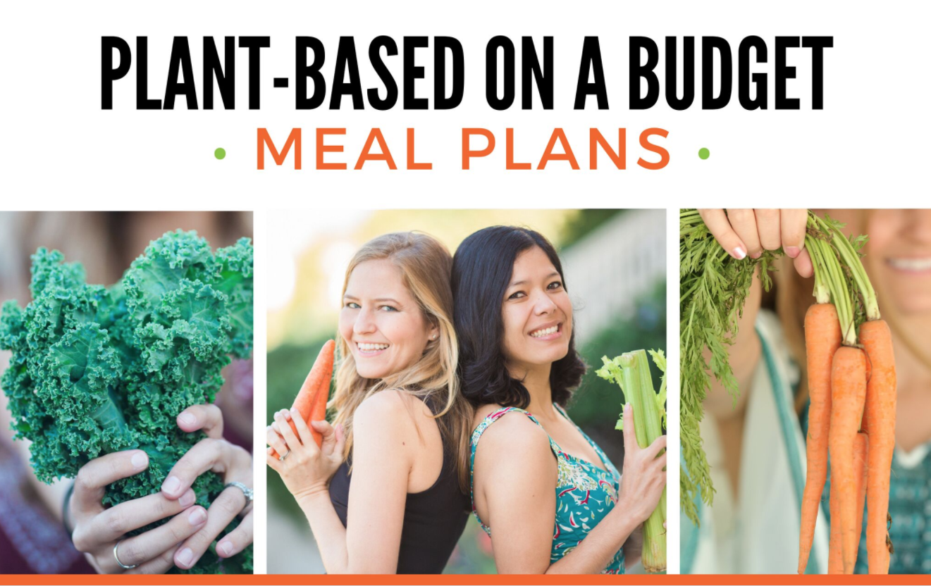 plant-based meals on a budget