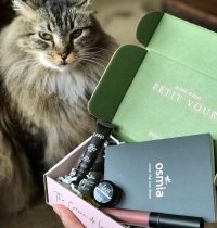 Petit Vour Vegan Beauty Box September 2017 Review