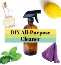 DIY All-Purpose Cleaner {Non-Toxic}